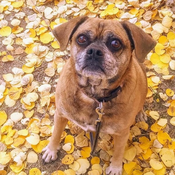 Meet your Posher, Jamie - Picture 2 of 2